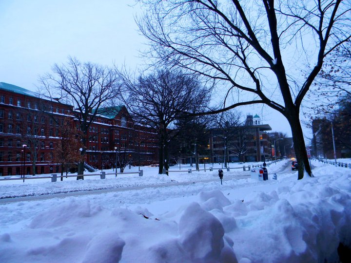 harvard university admissions courses masters dorm gsas