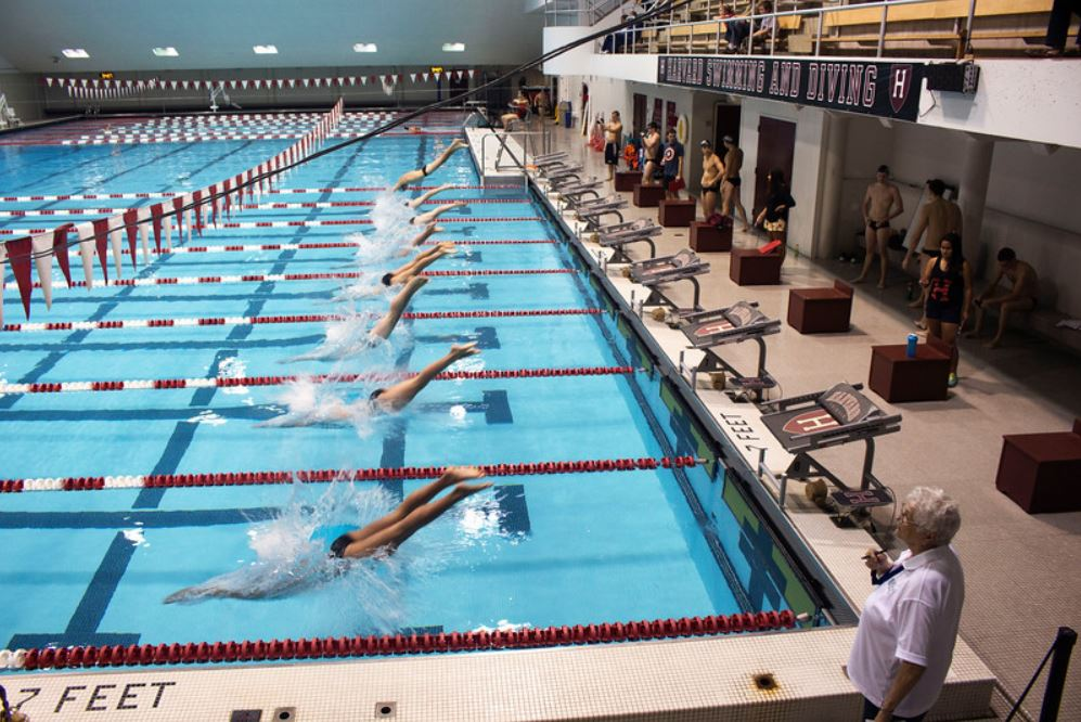 harvard blodgett pool