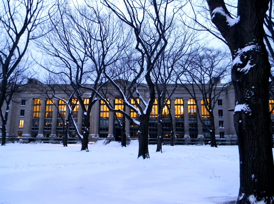 harvard law school